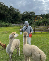 Alpaca wool knit bucket hat