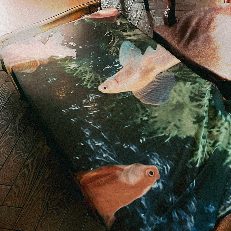 Goldfish fabric poster