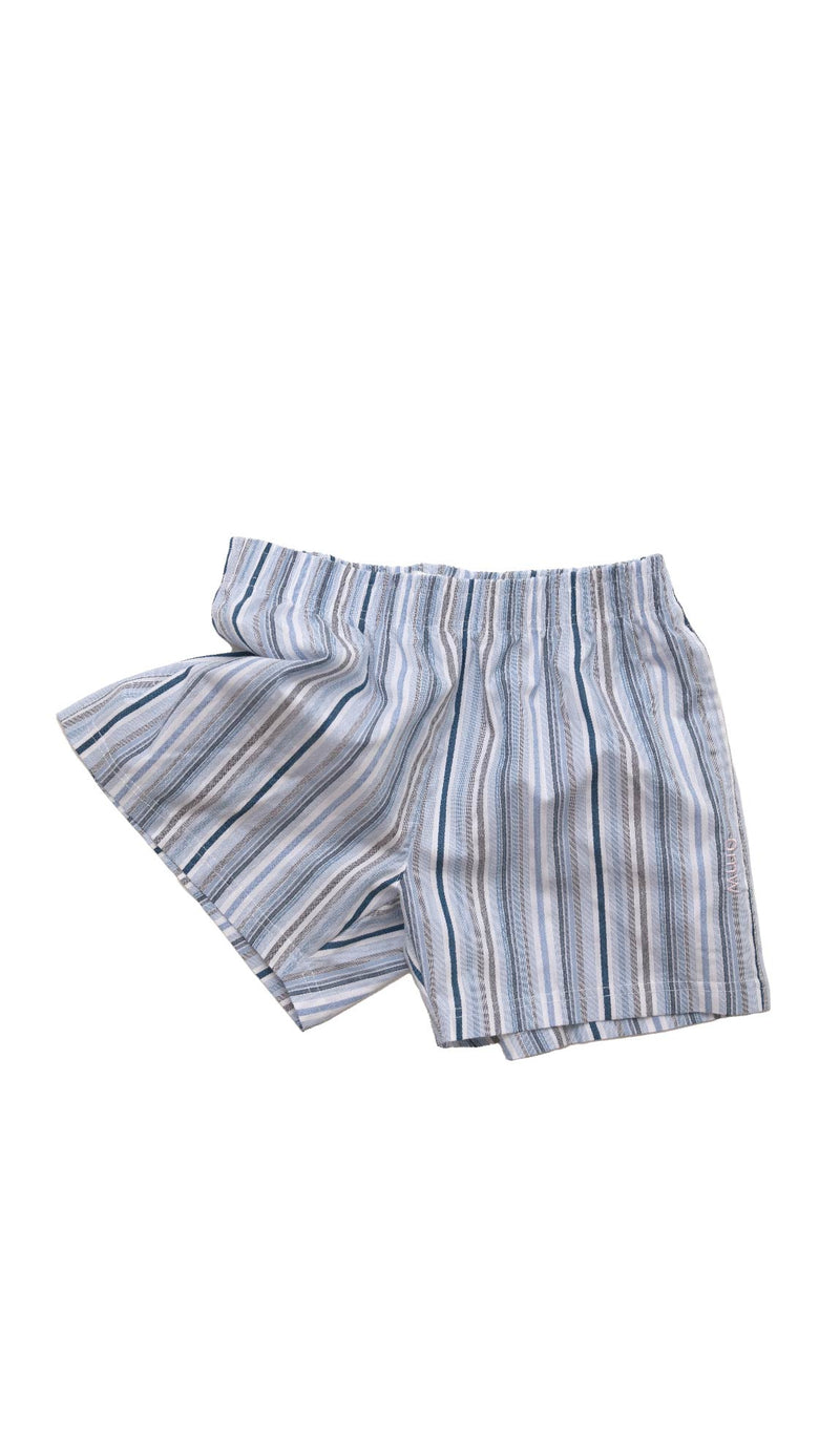 stripe shorts_blue