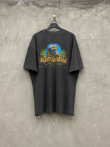 (Unisex)ハーレーデイトナボックスTシャツ(2color)