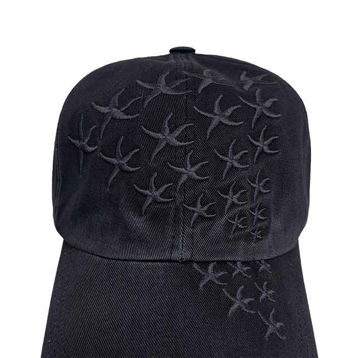 TCM starfish meteor cap (charcoal)