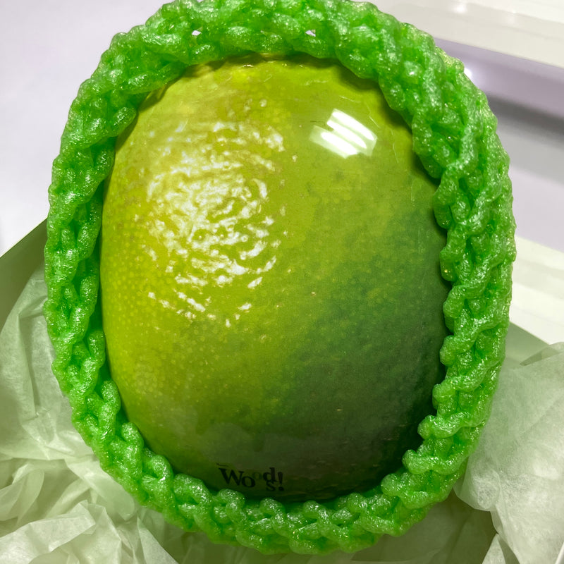 In-and-out Lime Airpods Max case