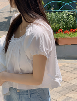 MR Pintuck Lace Puff Short Sleeve Blouse