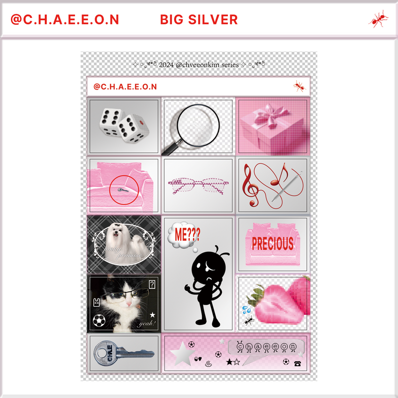 @c.h.a.e.e.o.n BIG silver sticker