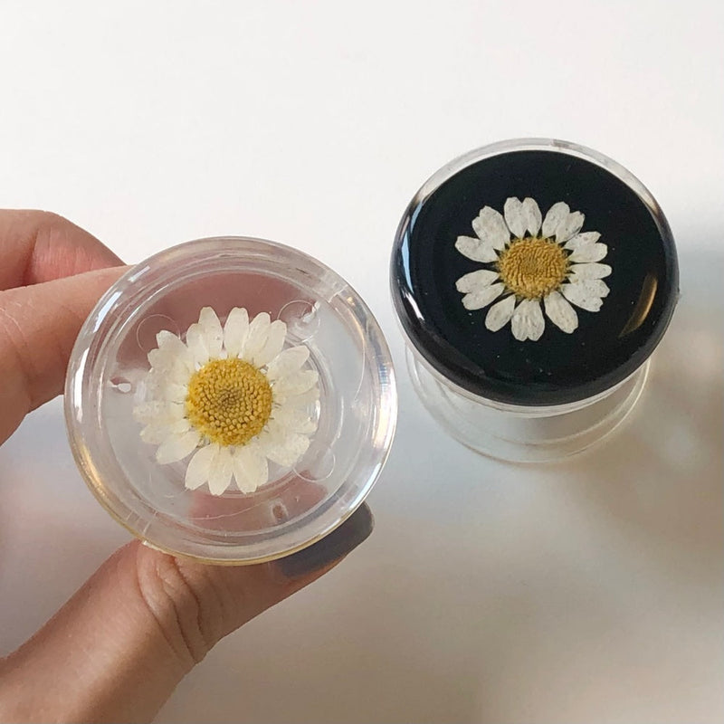 デイジープレスドフラワーグリップトック(2カラー)/Daisy Pressed Flower Tok (2 Colors)