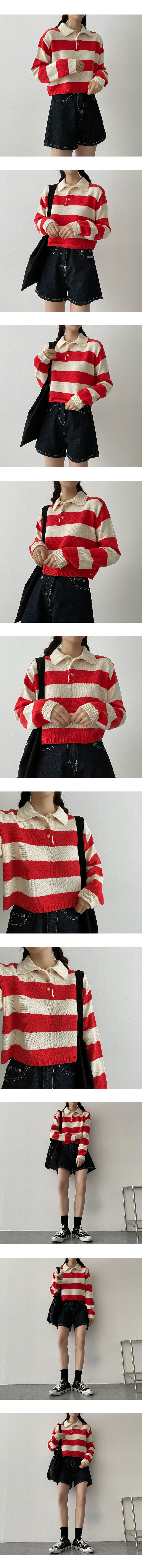 ストライプボタンカラーニットウェア/Color stripe button collar knitwear
