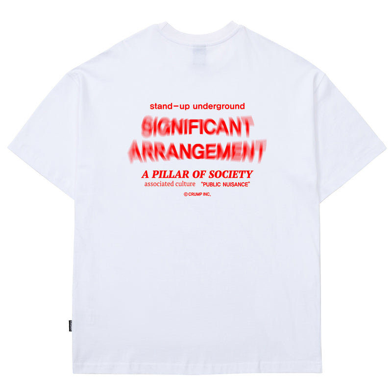アレンジメントTシャツ/ARRANGEMENT T-SHIRT