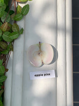 アップルスマホグリップ / Apple griptok