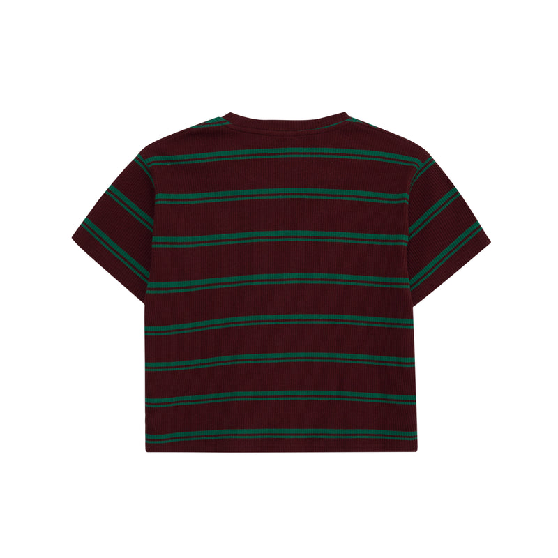 ベイビーリブストライプクロップドTシャツ / Baby Rib Stripe Cropped Tee _ Brown