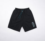 0018 nylon b-g shorts (4576267010166)