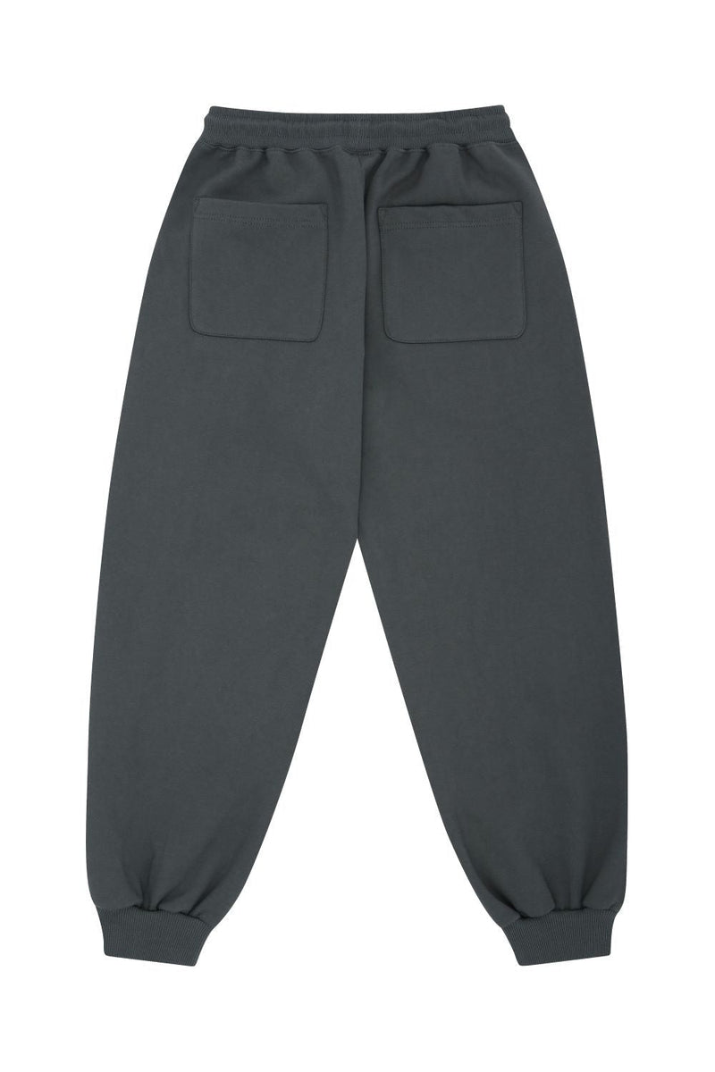 バットダークグレージョガーパンツ / REINSEIN dark gray jogger pants