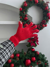 ASCLO Winter Glove (5color) (6645518270582)