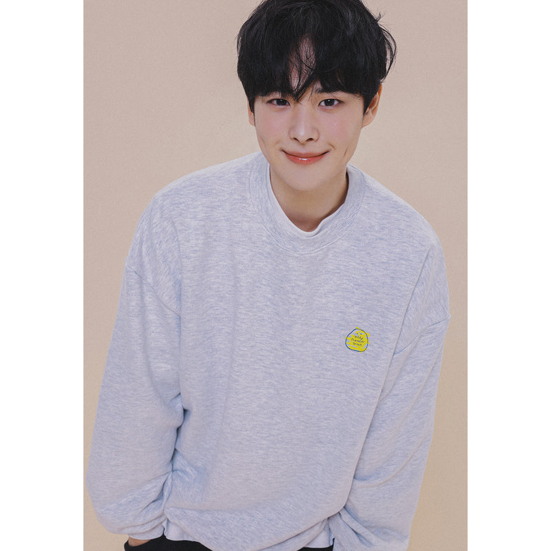 HOLYNUMBER7 X CHOI BYUNGCHAN BUCKET LIST GRAPHICS SWEAT SHIRT_GRAY