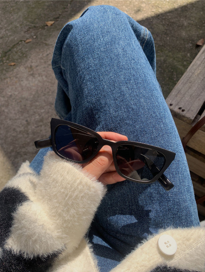 ASCLO Luxe Sunglasses (4color) (6631787593846)