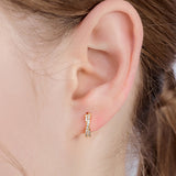 dignity cubic earring