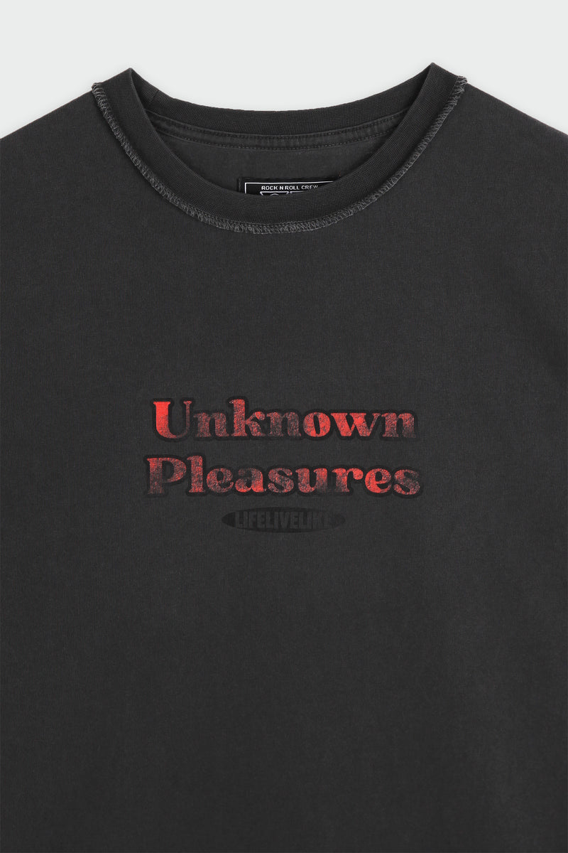 アンノウンプレジャーズTシャツ / Unknown Pleasures t-shirts (washed charcoal)