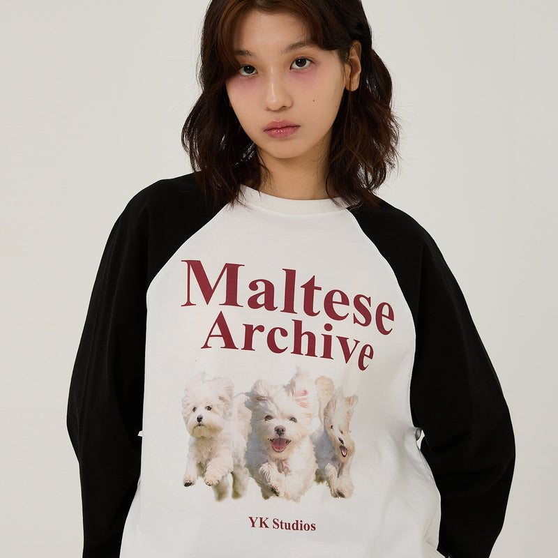 Maltese archive raglan long sleeve tshirts