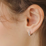petit heart cubic earring (6574092189814)