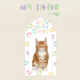 マイリトルキティフォトカードホルダー / my little KITTY photocard holder