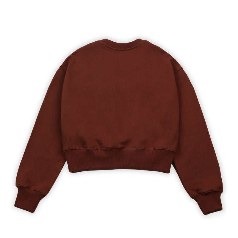 [Call Me Baby] Fuzzy Logo Cropped Sweatshirts (Brown) / ファジーロゴクロップドマンツーマンTシャツ (Brown) (6627476078710)