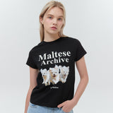 マルチーズアーカイブTシャツ/Maltese archive half sleeve tshirt women