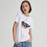 Box cat T-shirt [White] (6679680352374)