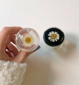デイジープレスドフラワーグリップトック(2カラー)/Daisy Pressed Flower Griptok (2 Colors)