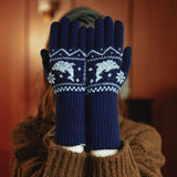 Dolphin nordic knit gloves (6622469128310)