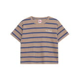 ベイビーリブストライプクロップドTシャツ / Baby Rib Stripe Cropped Tee _ Beige