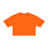 ブランクTシャツ / Blank T-shirts (4550322290806)